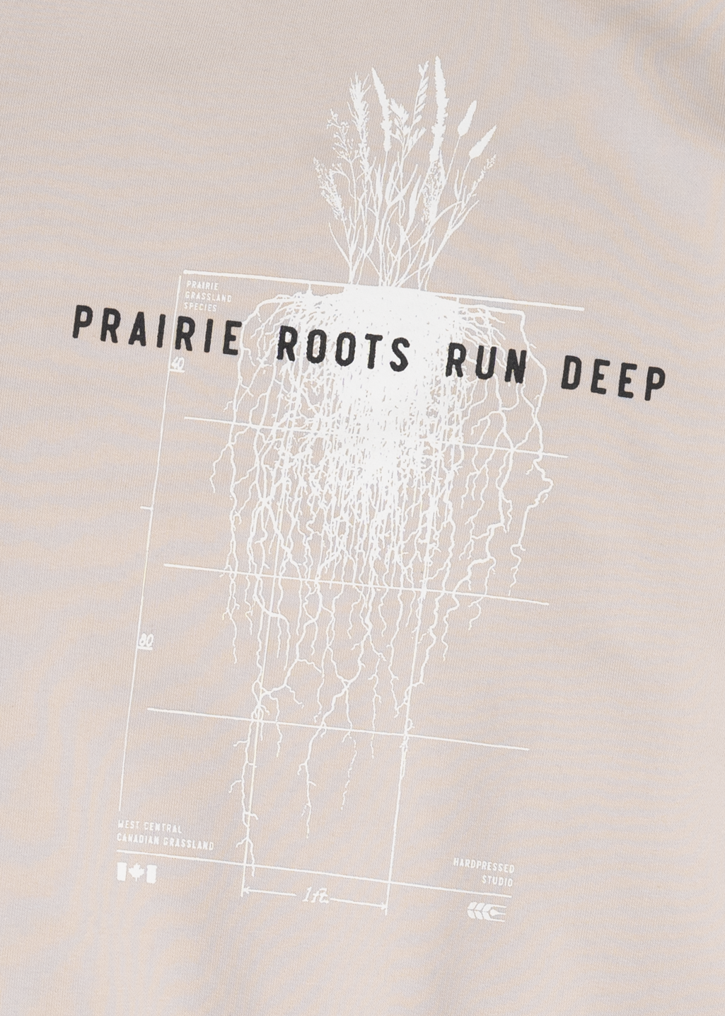 Prairie Roots Crewneck | White Sand | Ladies