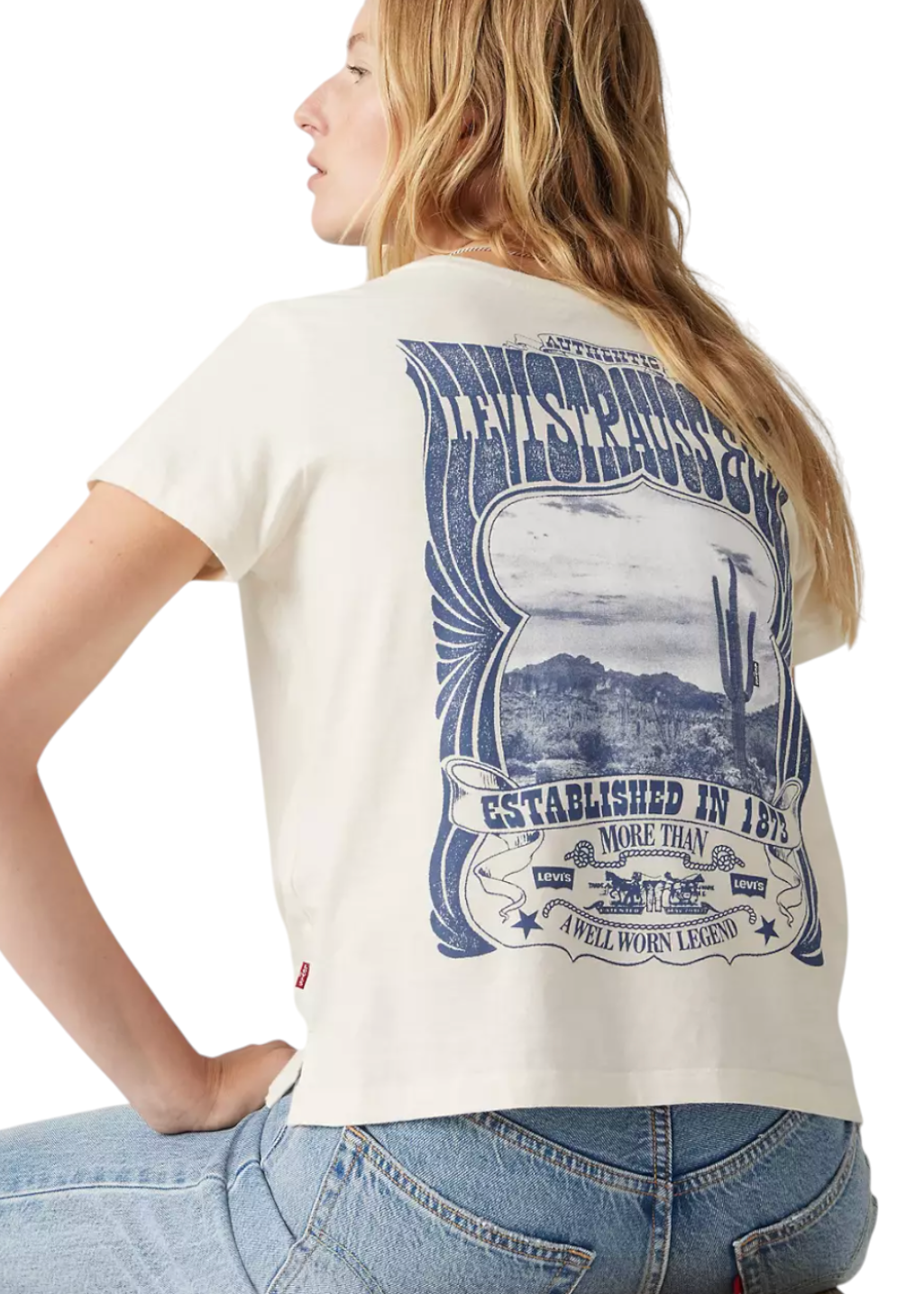 Levi's - Graphic Boxy T-Shirt - Levi's Canyon Poster Boxy Tee - Sugar Swizzle