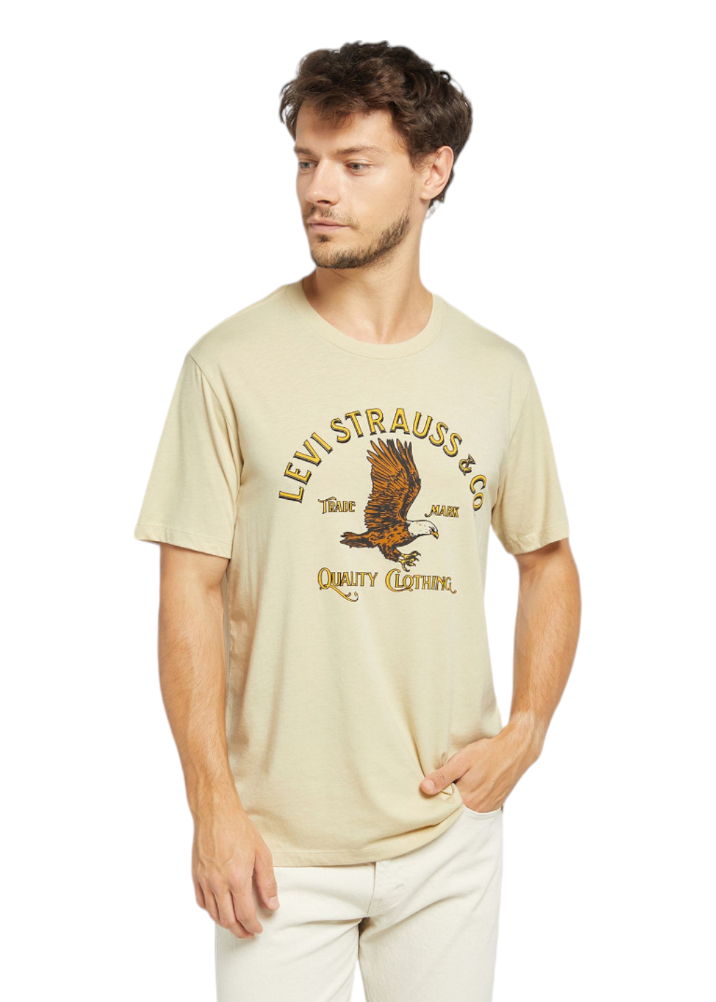 Levi's - Graphic Crewneck Tee - Heritage Americana Eagle Triblend