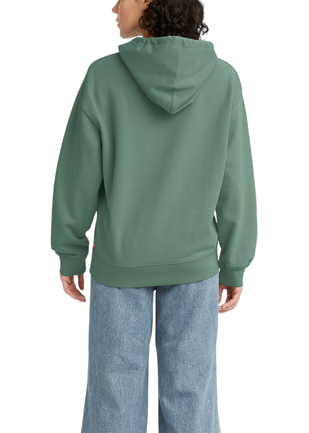 Levi's - Graphic Standard Hoodie - Riley Flower Poster/Granite Green - Hardpressed Print Studio Inc.