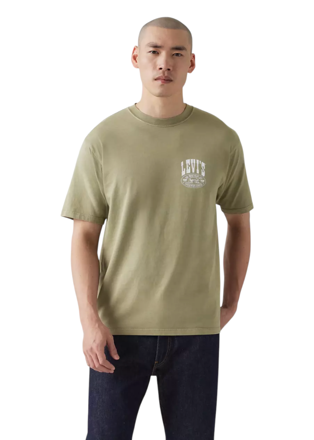 Levi's - Vintage Fit Graphic Tee - Concert Tee - Deep Lichen Green