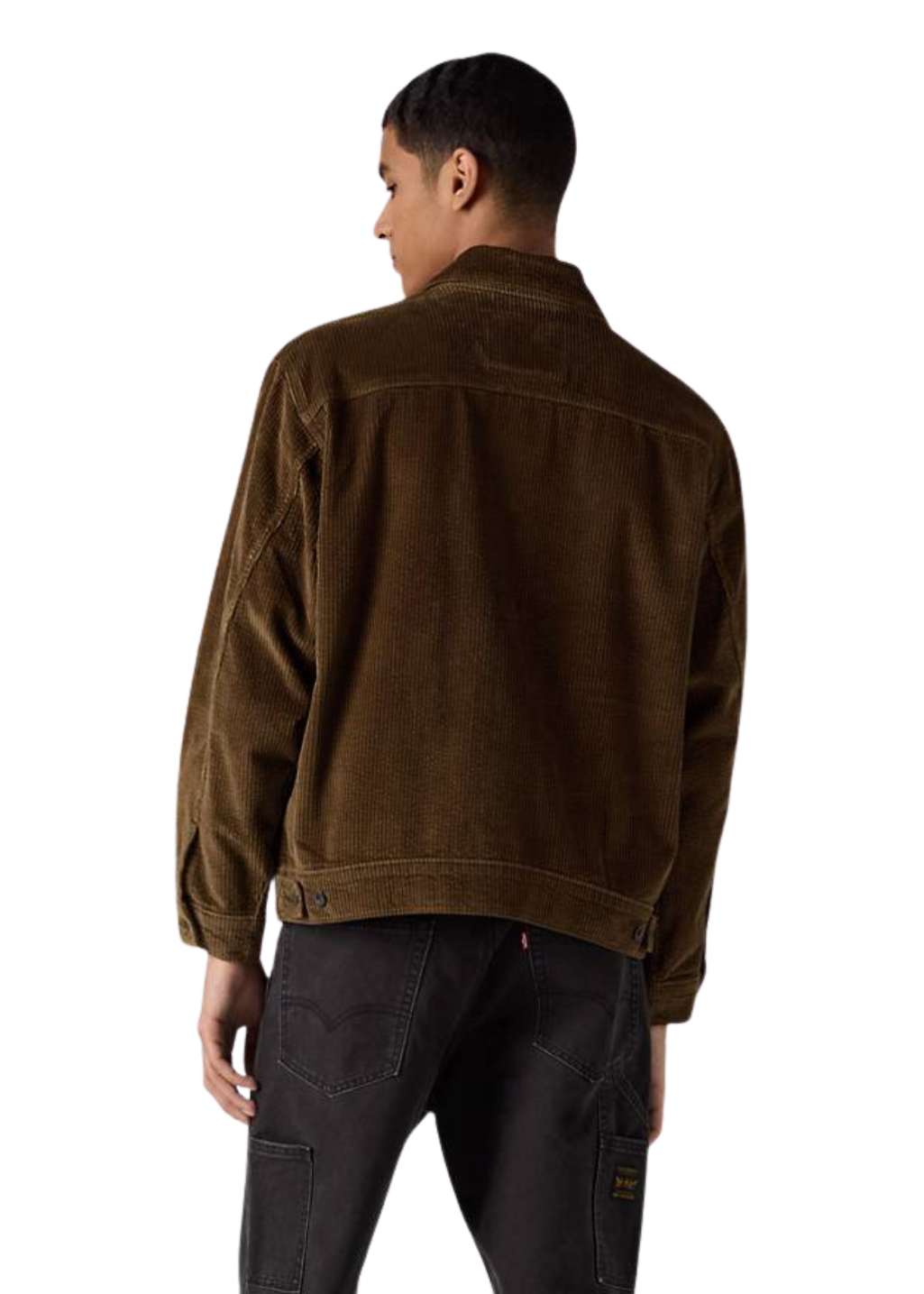 Levi's - Sunrise Trucker - Desert Palm - Corduroy