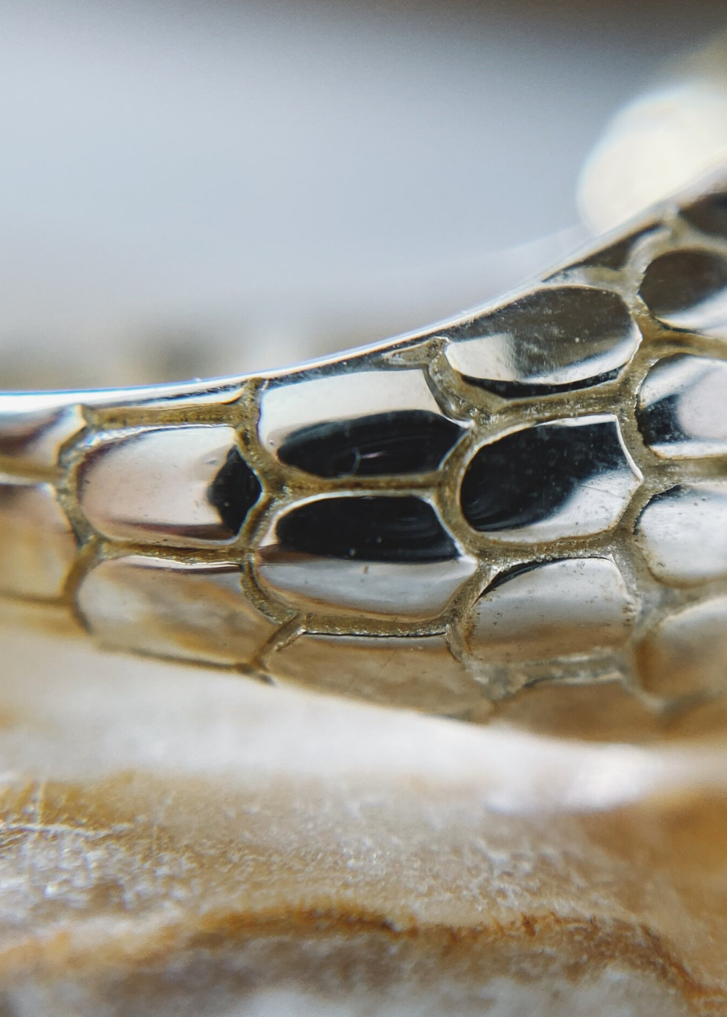ONEIRO Designs - Serpent Signet Ring - Hardpressed Print Studio Inc.
