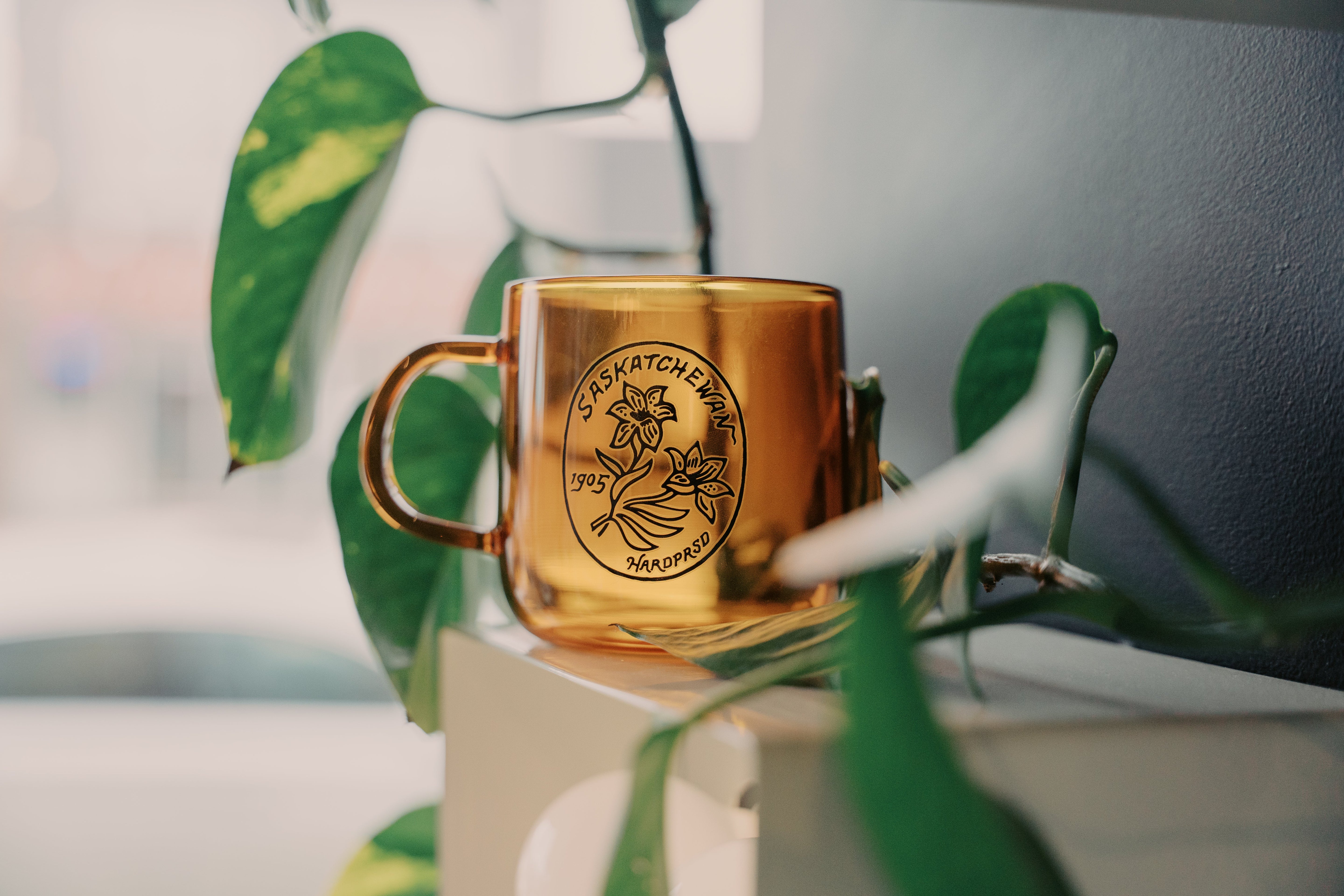 Gifts Under $50