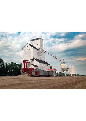 Colourwave Media - Grain Elevator Postcard