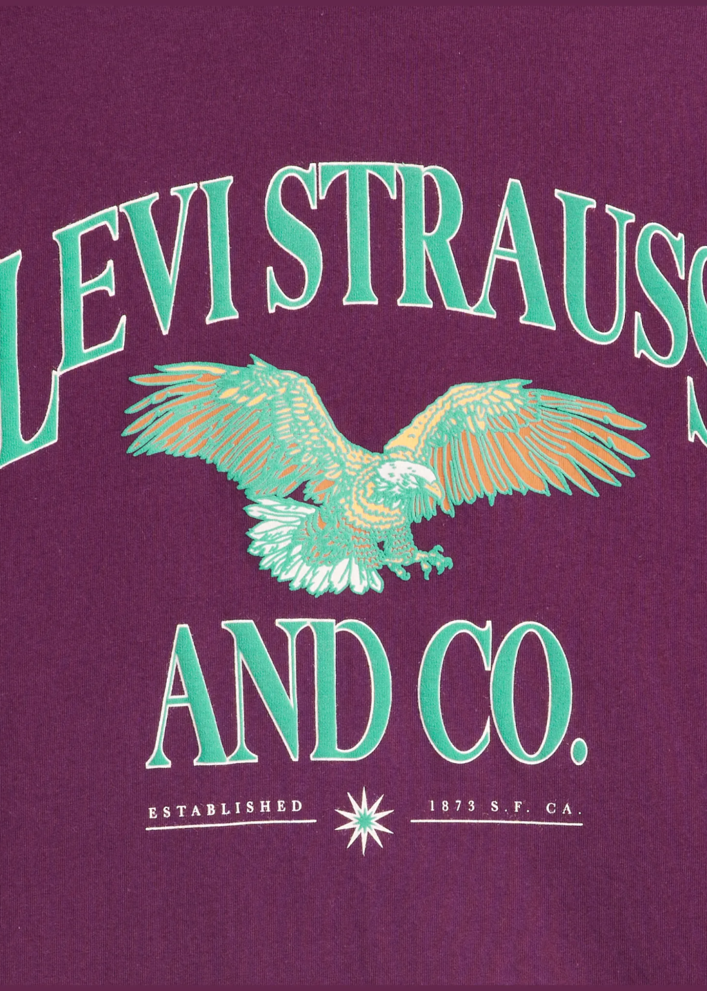 Levi's - LS Graphic Authentic Tee - LS&CO Eagle Potent Purple - Hardpressed Print Studio Inc.