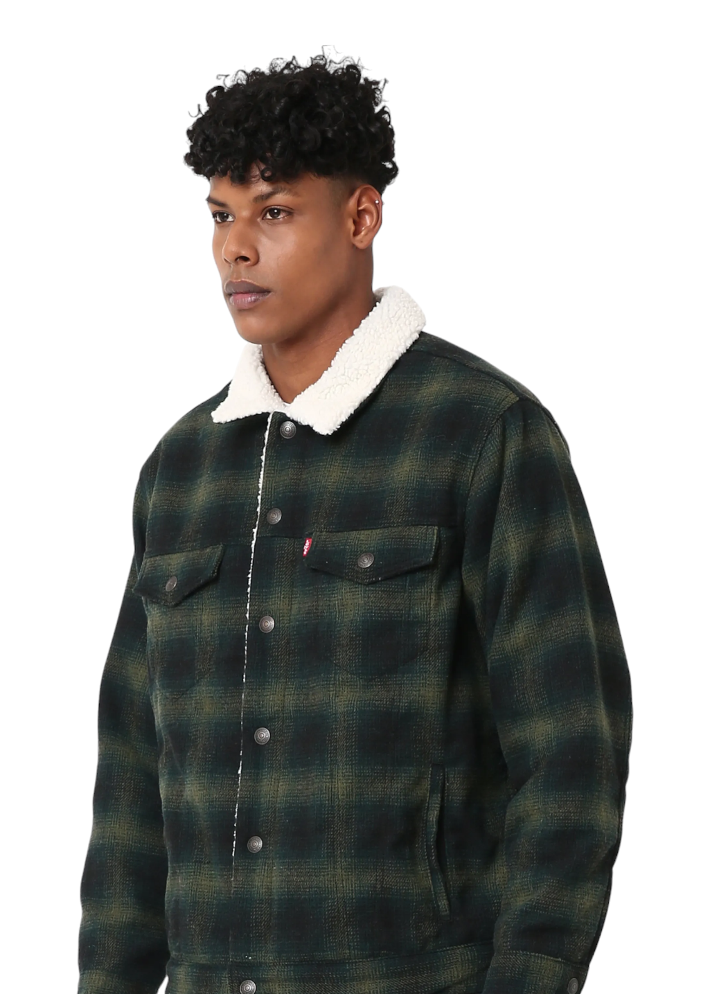 Levi's - Relaxed Fit Plaid - Scottie Plaid Scarab - Hardpressed Print Studio Inc.