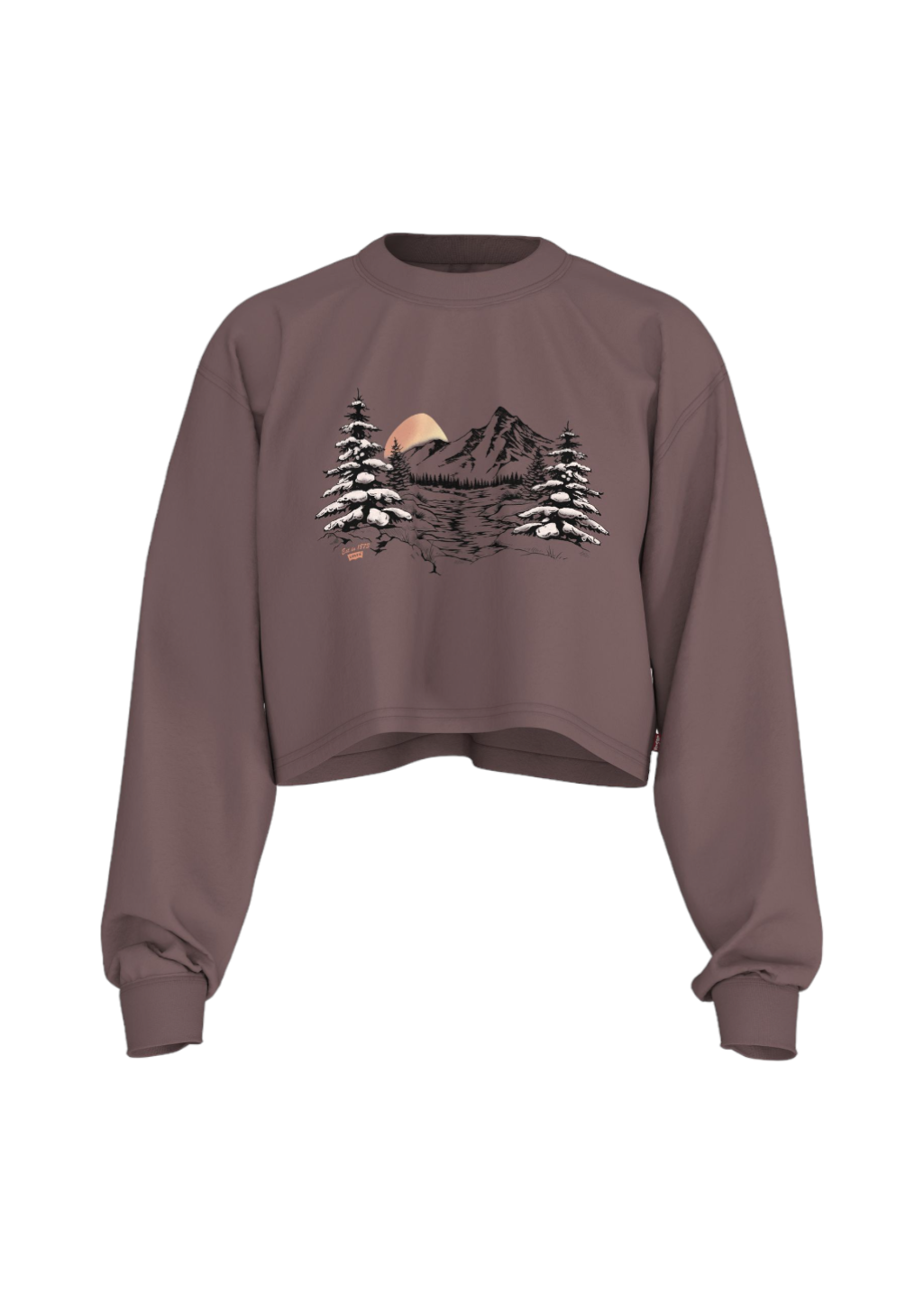 Levi's - GR Crop LS Football Tee - Snowy Lake Rose Taupe - Hardpressed Print Studio Inc.