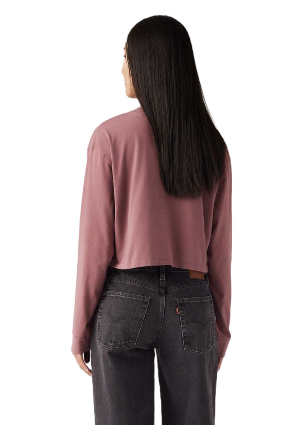 Levi's - GR Crop LS Football Tee - Snowy Lake Rose Taupe