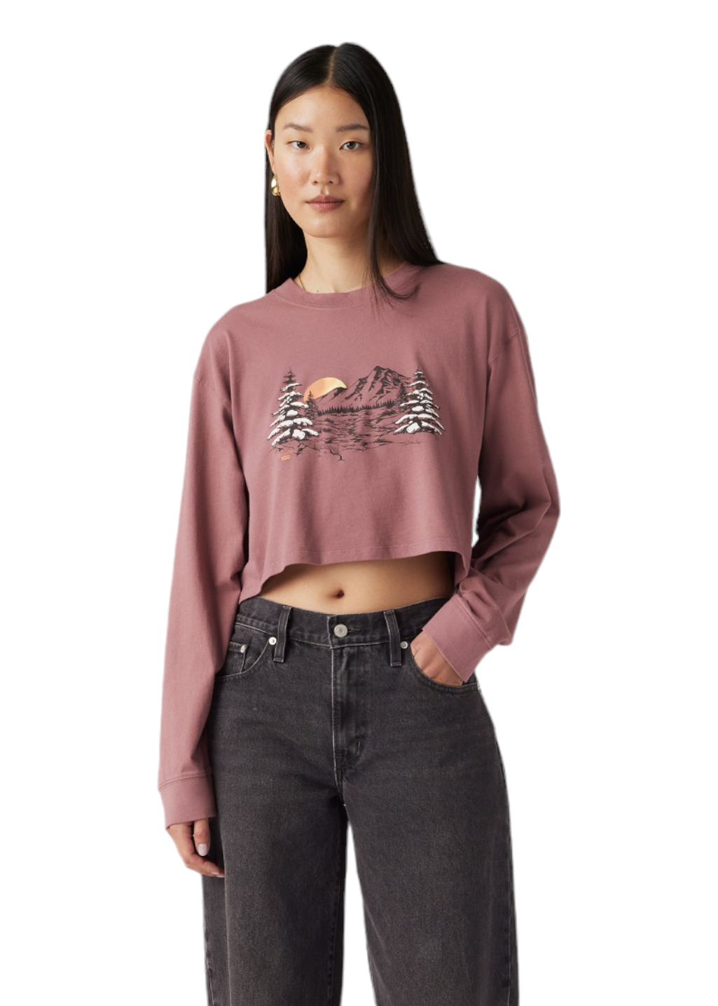 Levi's - GR Crop LS Football Tee - Snowy Lake Rose Taupe