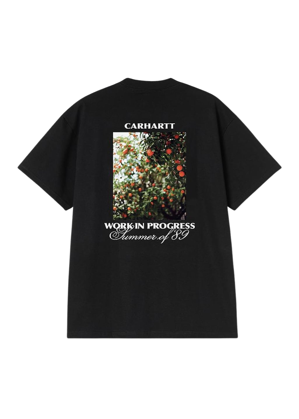 Carhartt WIP - S/S Warm Views T-Shirt - Black - Hardpressed Print Studio Inc.