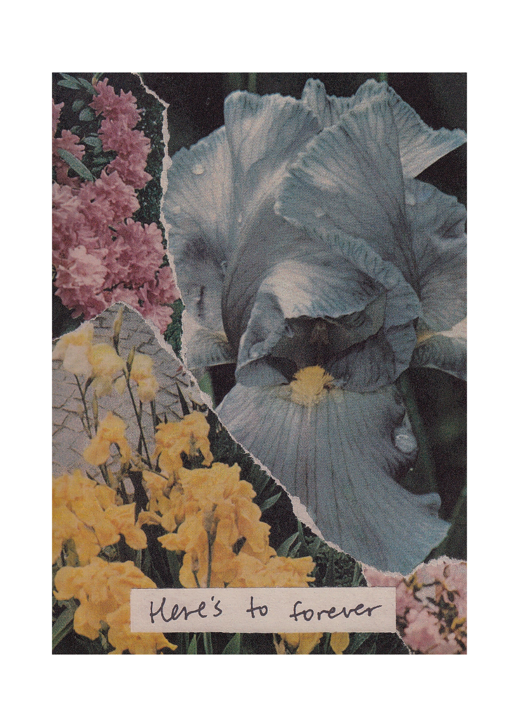 Heartgarbage - Forever Card