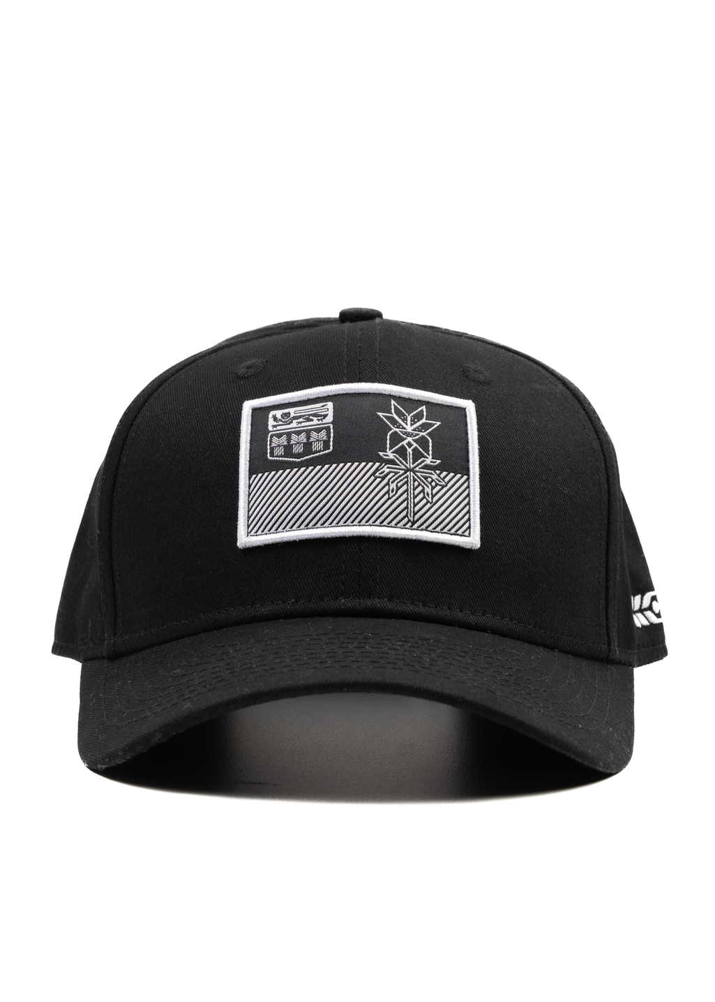 Flag Snapback | Black