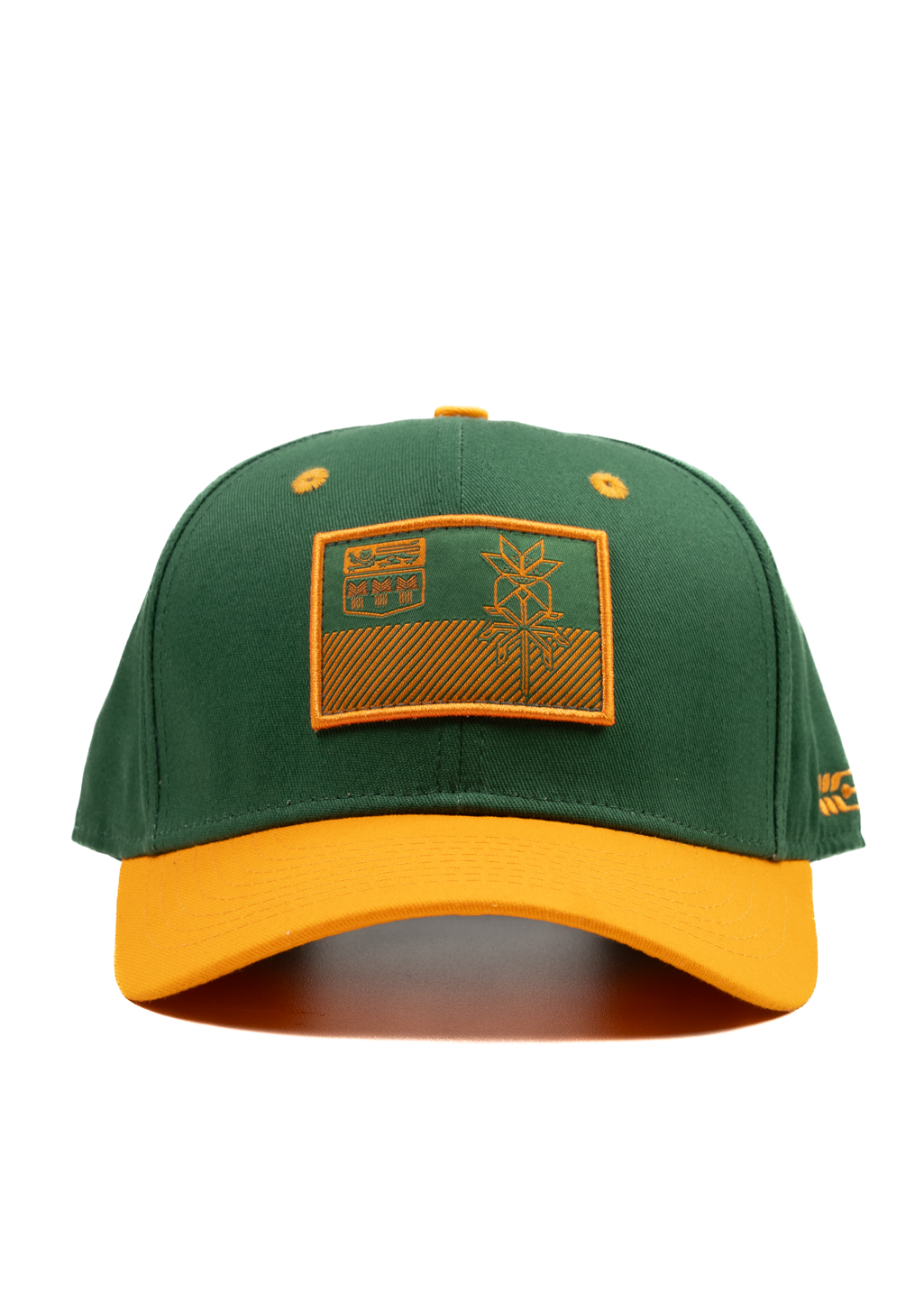 Flag Snapback | Green/Gold