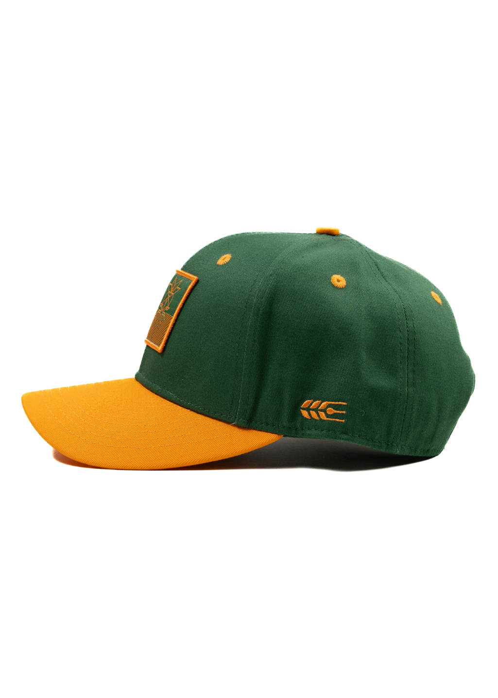 Flag Snapback | Green/Gold