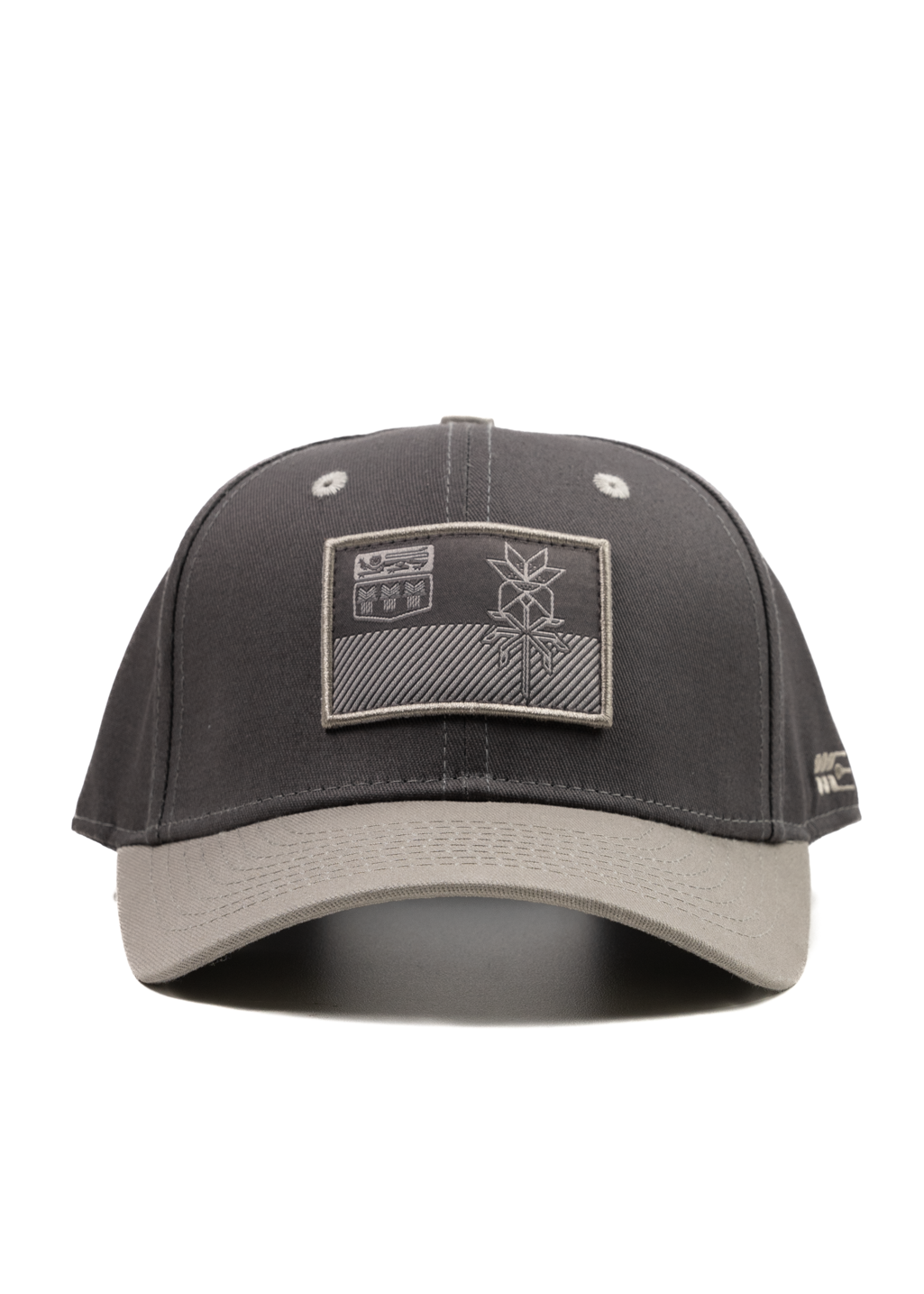 Flag Snapback | Grey Tones