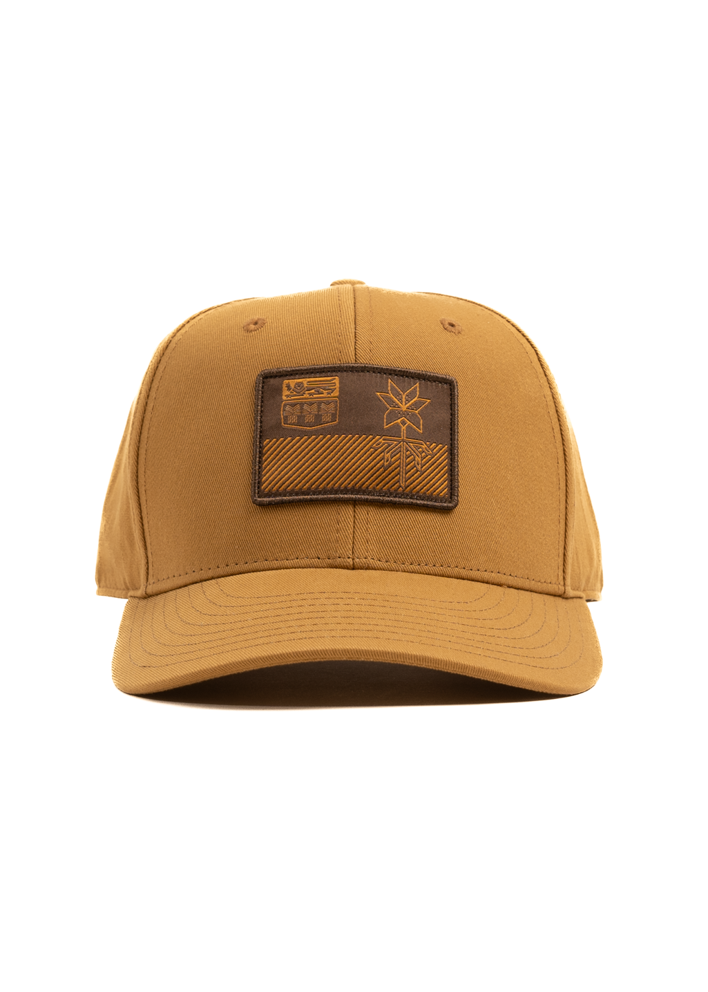 Flag Snapback | Camel