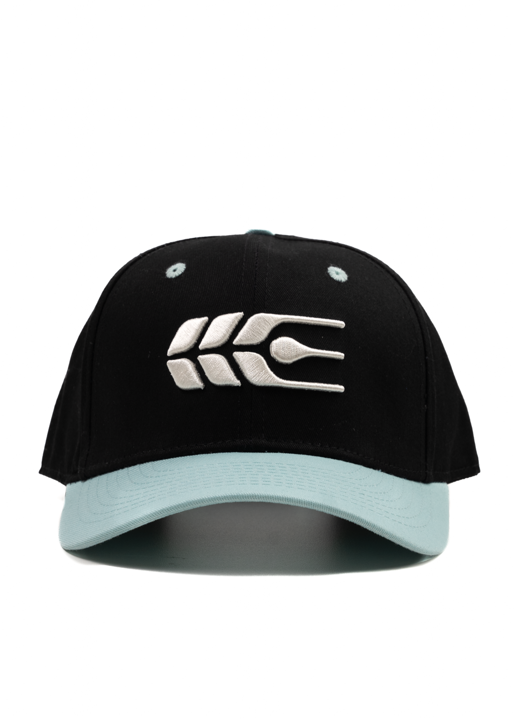 Grain Snapback | Black/Sky