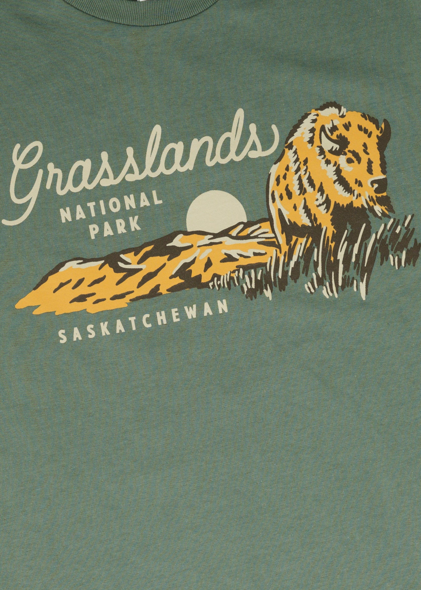 Grasslands Tee | Sage | Unisex - Hardpressed Print Studio Inc.