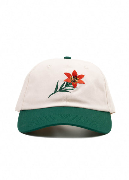 Hardpressed_Lilium-Dad-