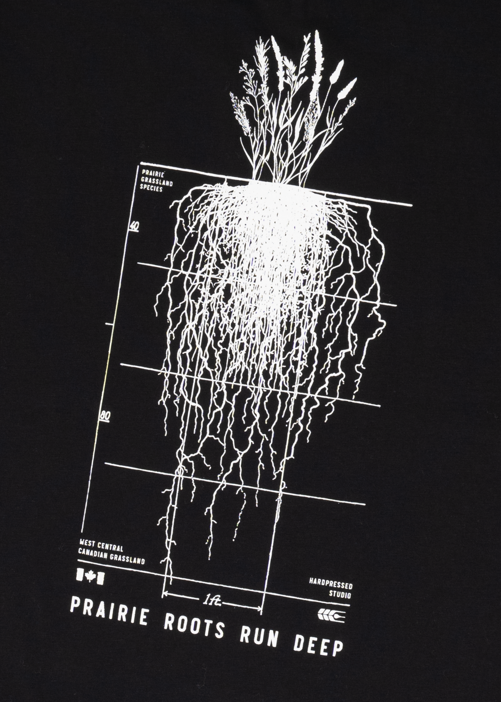 Prairie Roots Boxy Tee | Black | Ladies