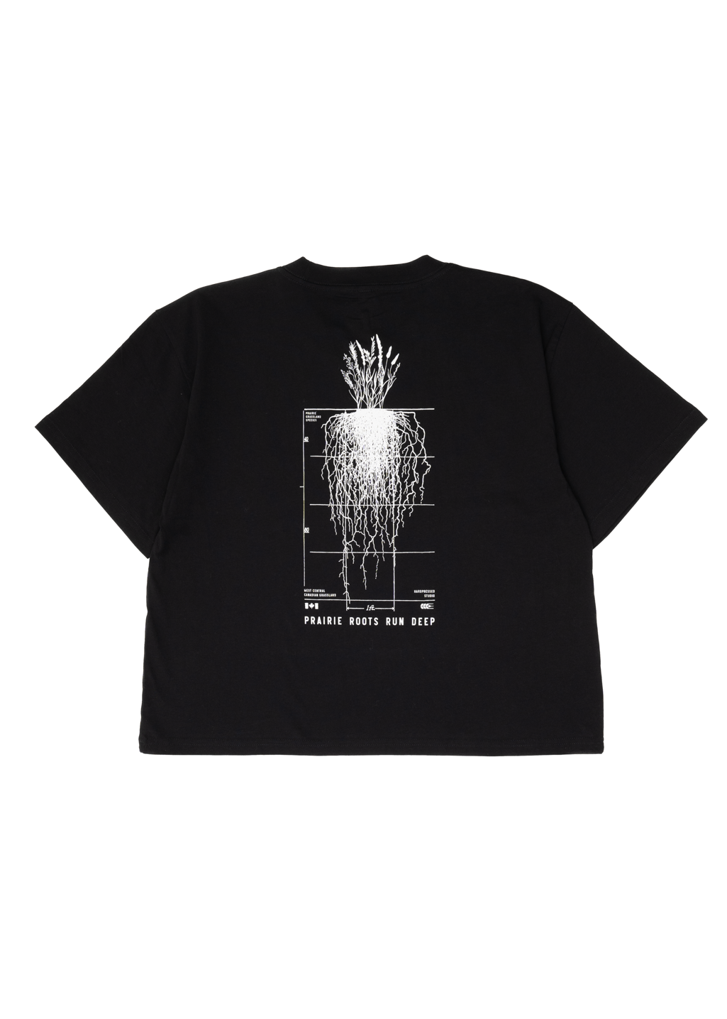 Prairie Roots Boxy Tee | Black | Ladies