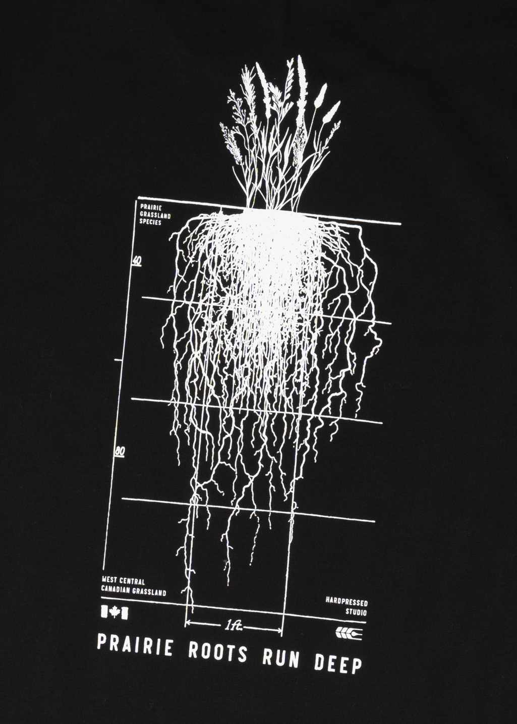 Prairie Roots Tee | Black | Unisex