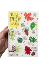 Havyn - Native Trees of Canada Postcard