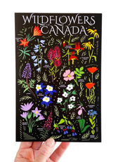 Havyn - Wildflowers Canada Postcard