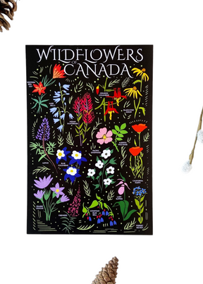 Havyn - Wildflowers Canada Postcard