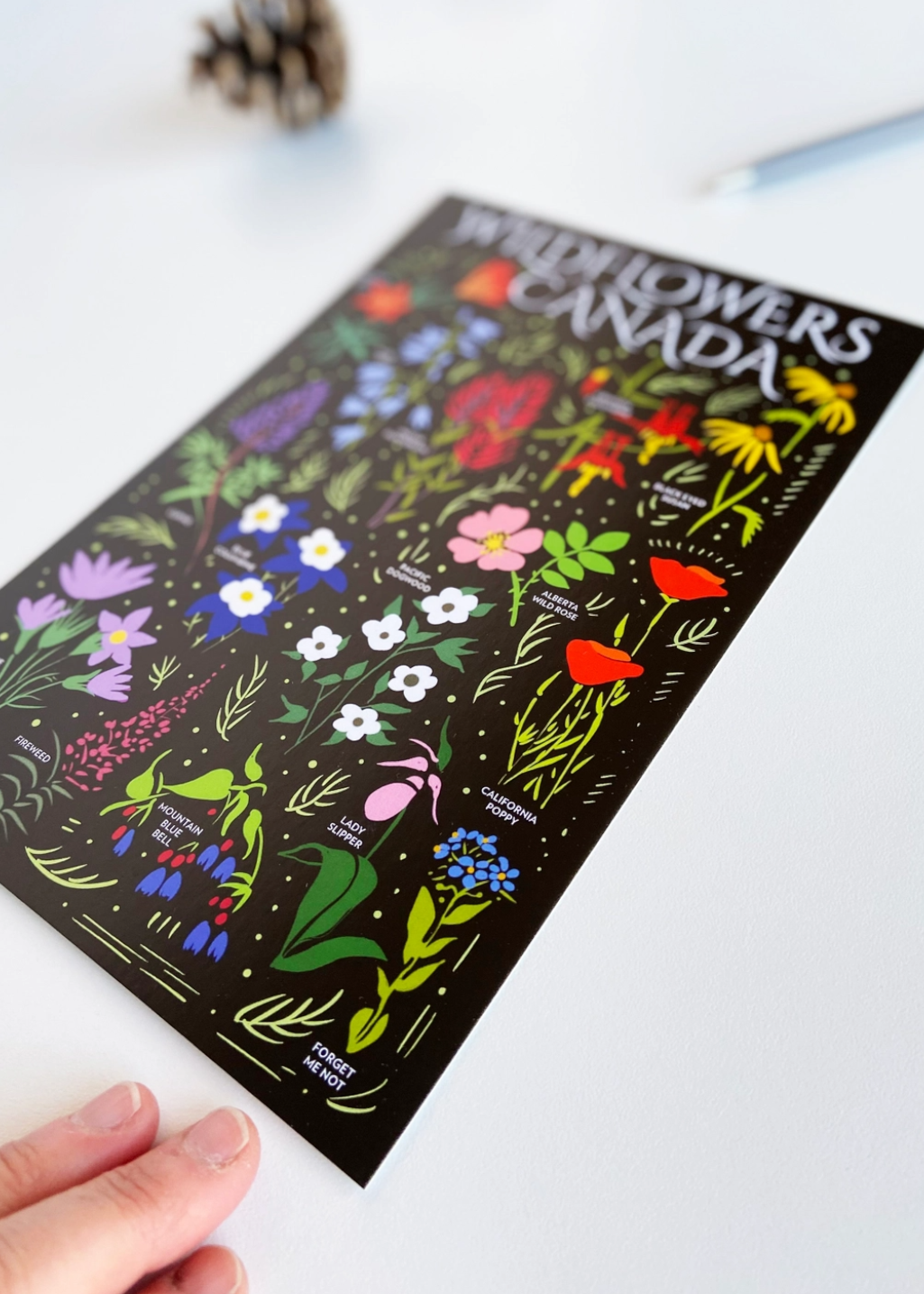 Havyn - Wildflowers Canada Postcard