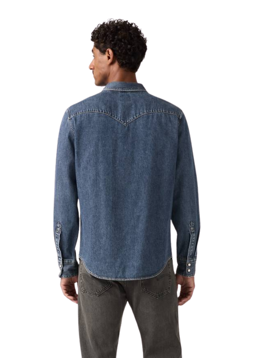Levi's - Barstow Western Standard - Solucell Western