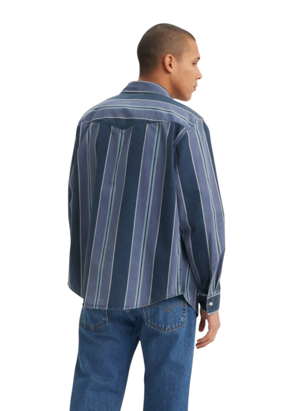 Levi's - Relaxed Fit Western - Carson Stripe