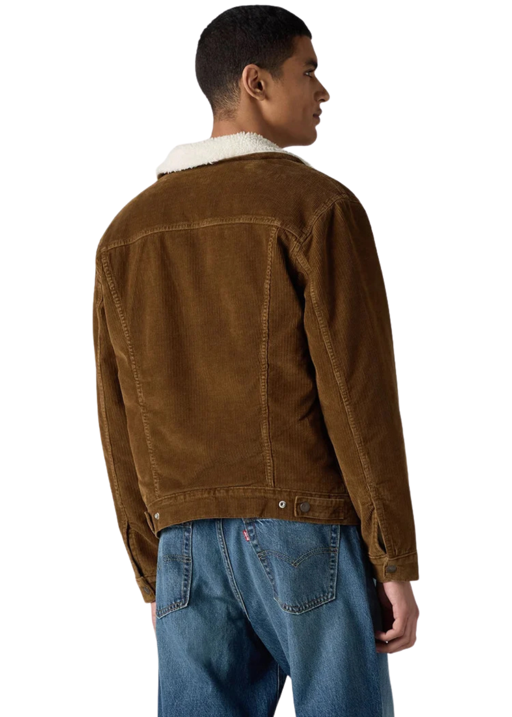 Levi's - Type 3 Sherpa Trucker - Karla Brown