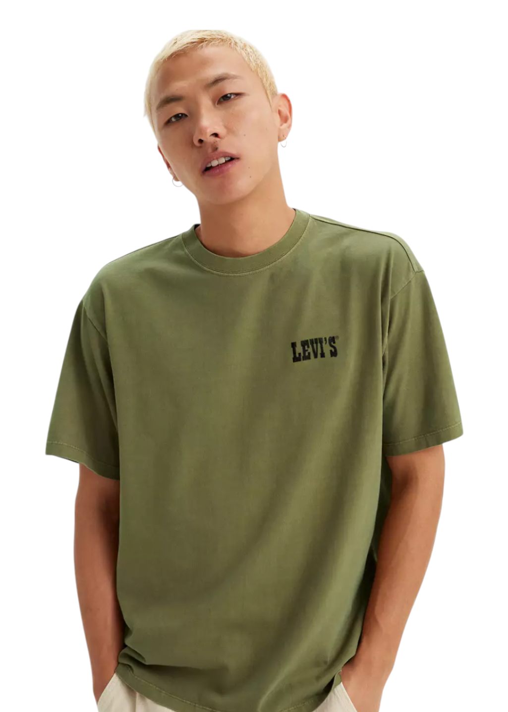 Levi's - Vintage Fit Graphic Tee - Archival Mountaineer Capulet Olive