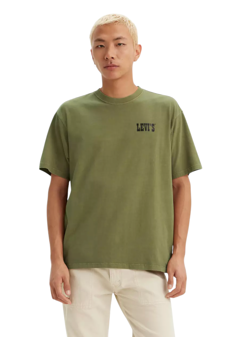 Levi's - Vintage Fit Graphic Tee - Archival Mountaineer Capulet Olive