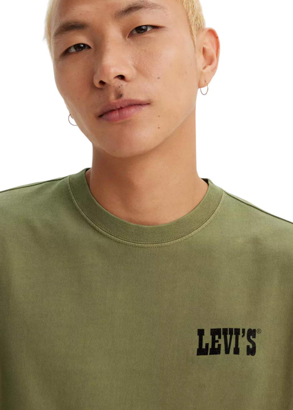 Levi's - Vintage Fit Graphic Tee - Archival Mountaineer Capulet Olive