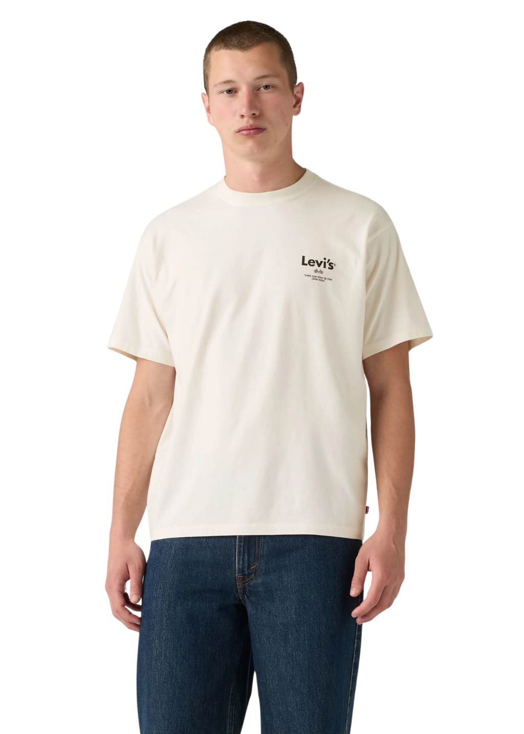 Levi's - Vintage Fit Graphic Tee - Legendary Horsepower 1 Egret