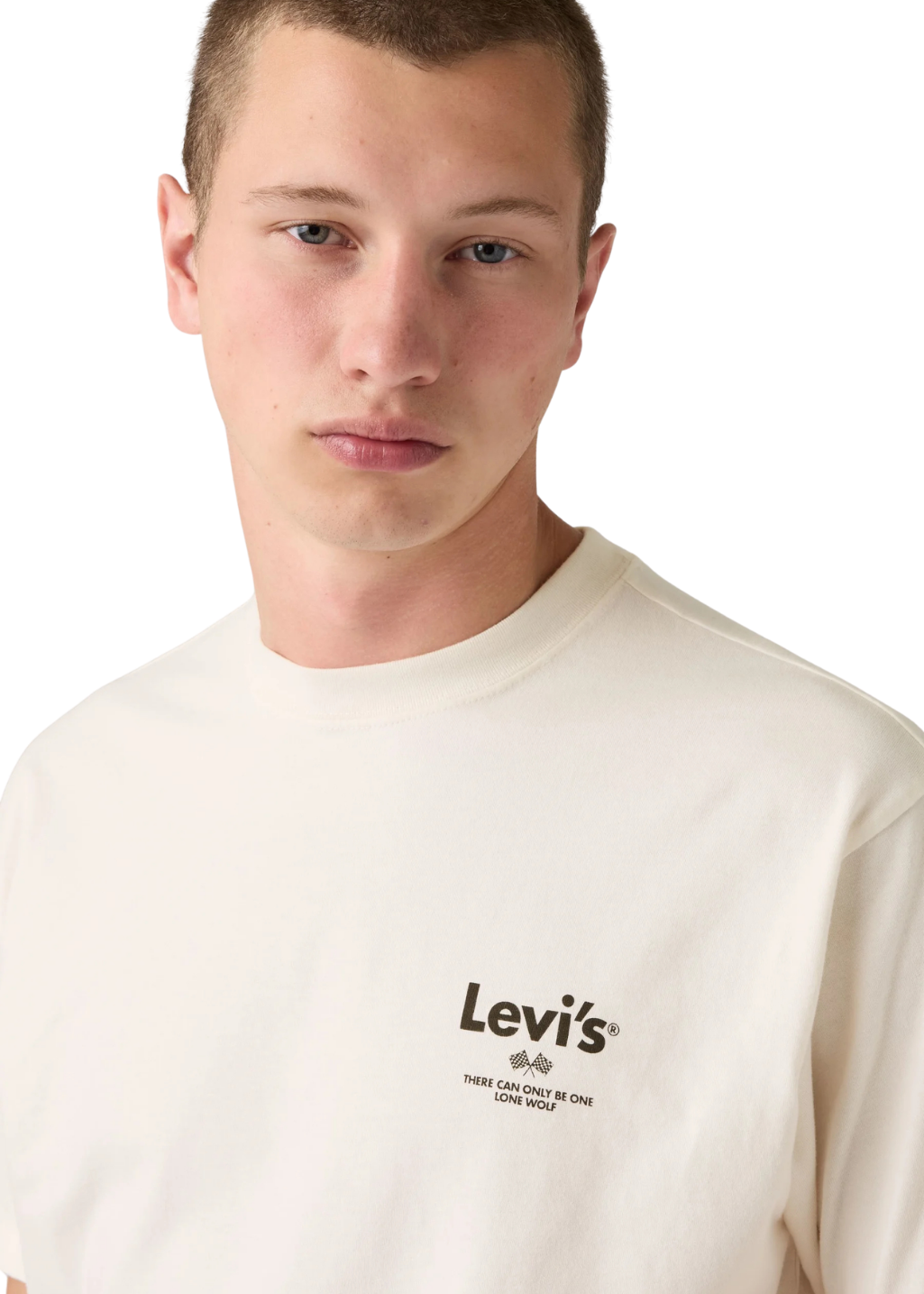 Levi's - Vintage Fit Graphic Tee - Legendary Horsepower 1 Egret