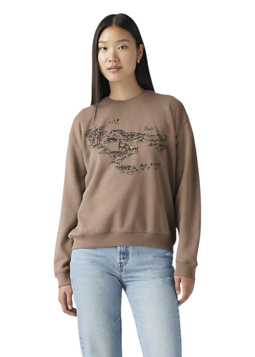 Levi's - Graphic Everyday Crew - Horse In Country Landscape