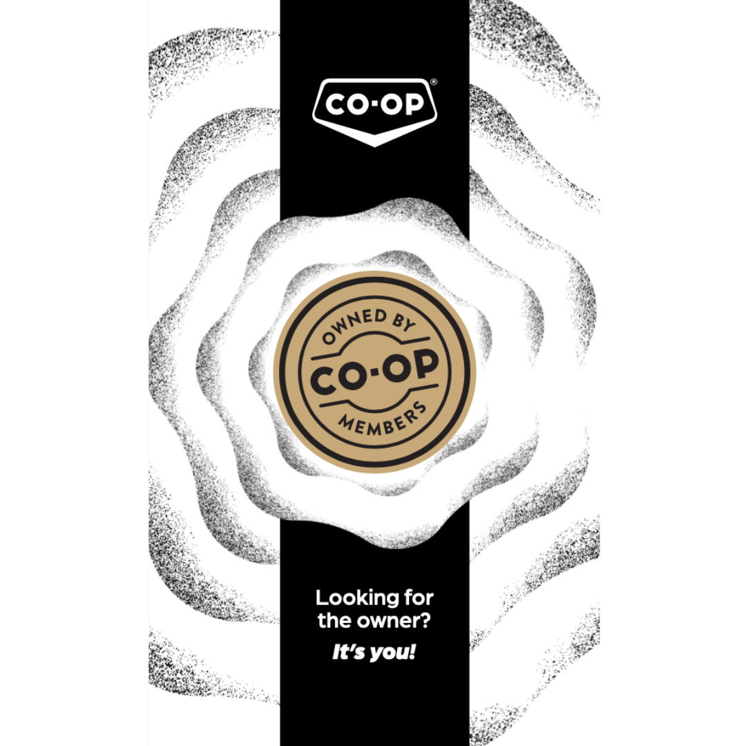 Owned By Members Pin | Black & Gold