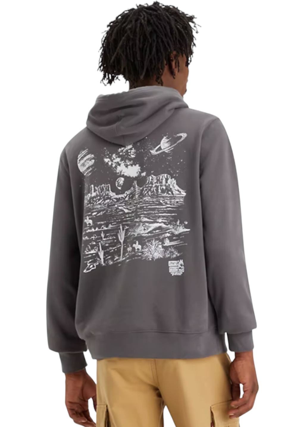 Levi's - Standard Graphic Hoodie - Space Cowboy PO Andesite Ash - Hardpressed Print Studio Inc.