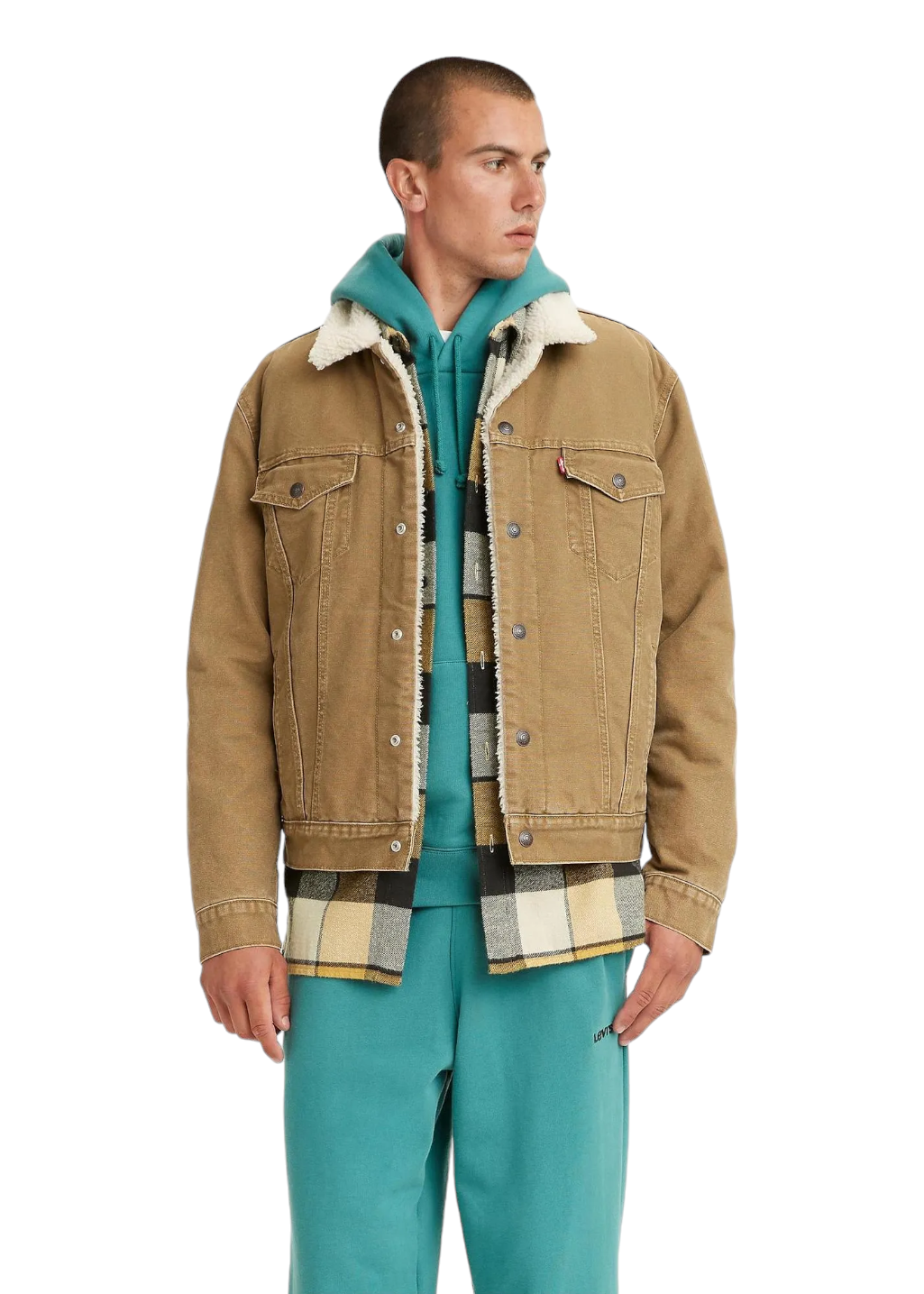 Levi's - Type 3 Sherpa Trucker - Washed Cougar Canvas - Hardpressed Print Studio Inc.