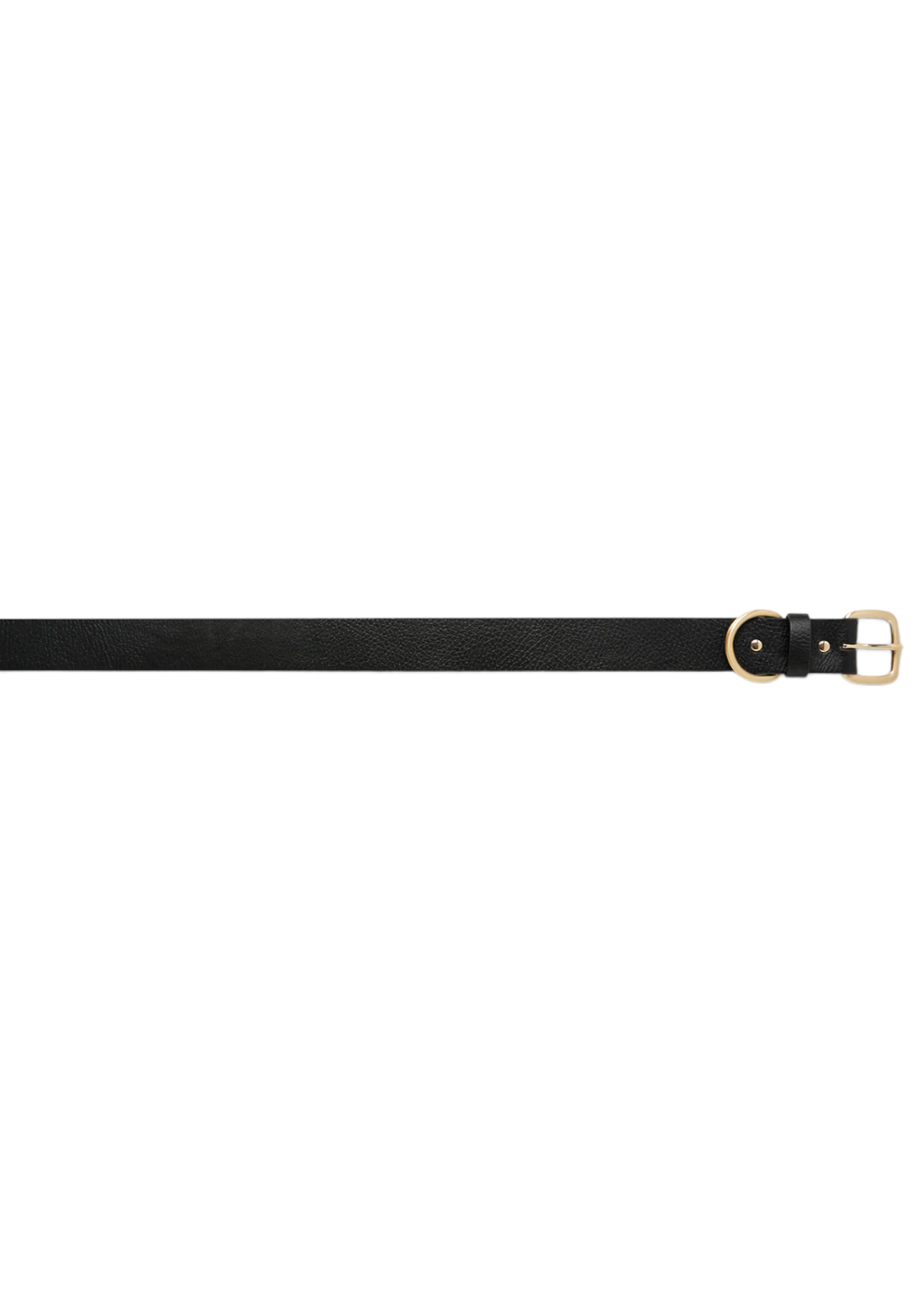 Status Anxiety - Disarm Belt - Black/Gold - Hardpressed Print Studio Inc.