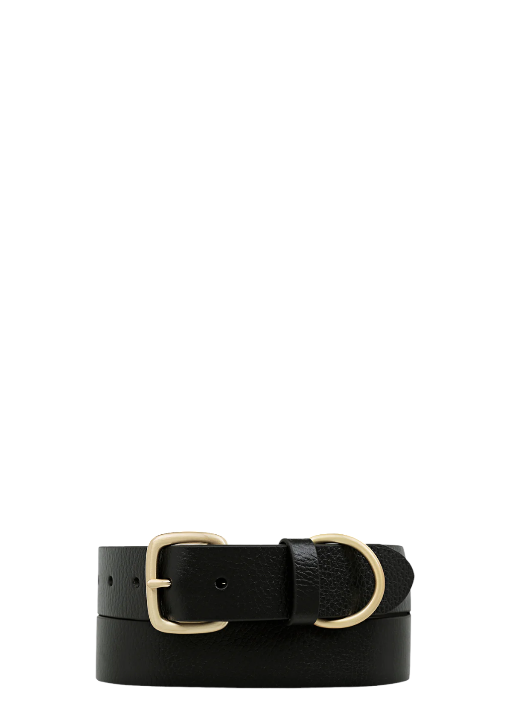 Status Anxiety - Disarm Belt - Black/Gold - Hardpressed Print Studio Inc.