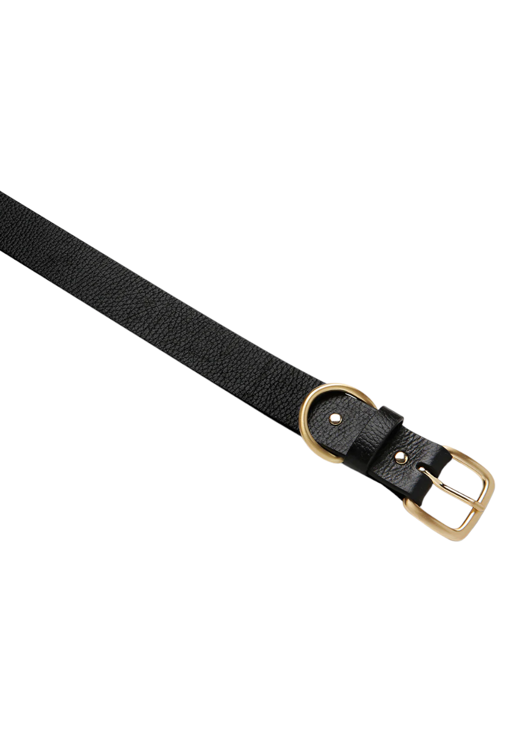 Status Anxiety - Disarm Belt - Black/Gold - Hardpressed Print Studio Inc.