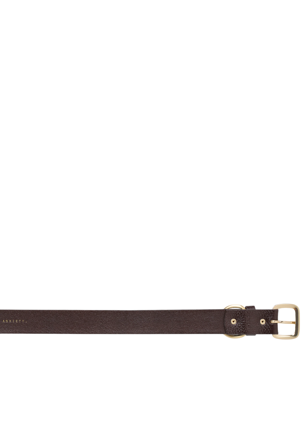 Status Anxiety - Disarm Belt - Chocolate/Gold