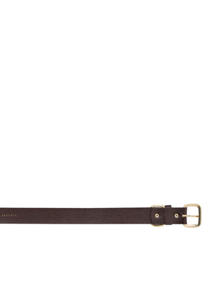 Status Anxiety - Disarm Belt - Chocolate/Gold