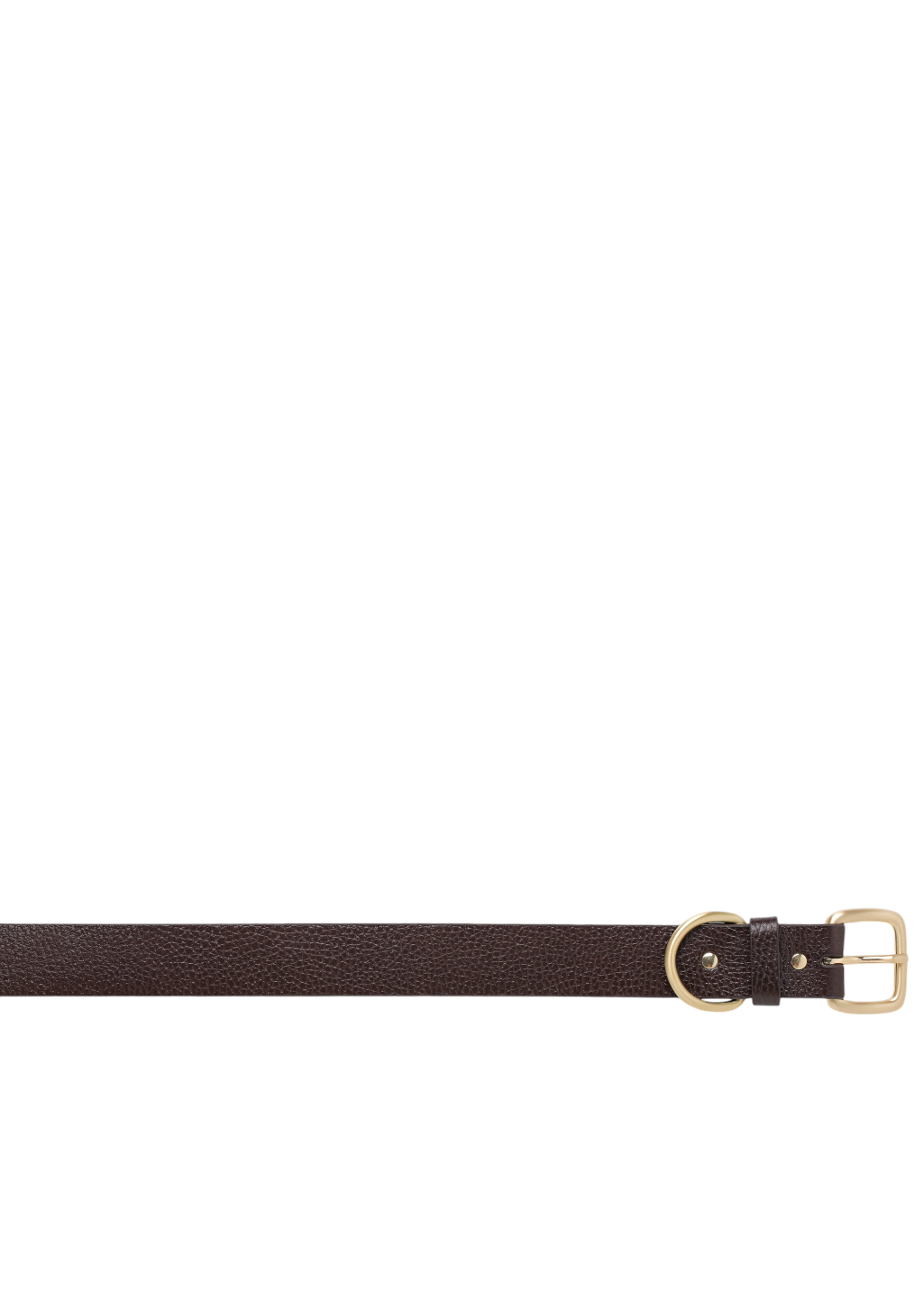 Status Anxiety - Disarm Belt - Chocolate/Gold