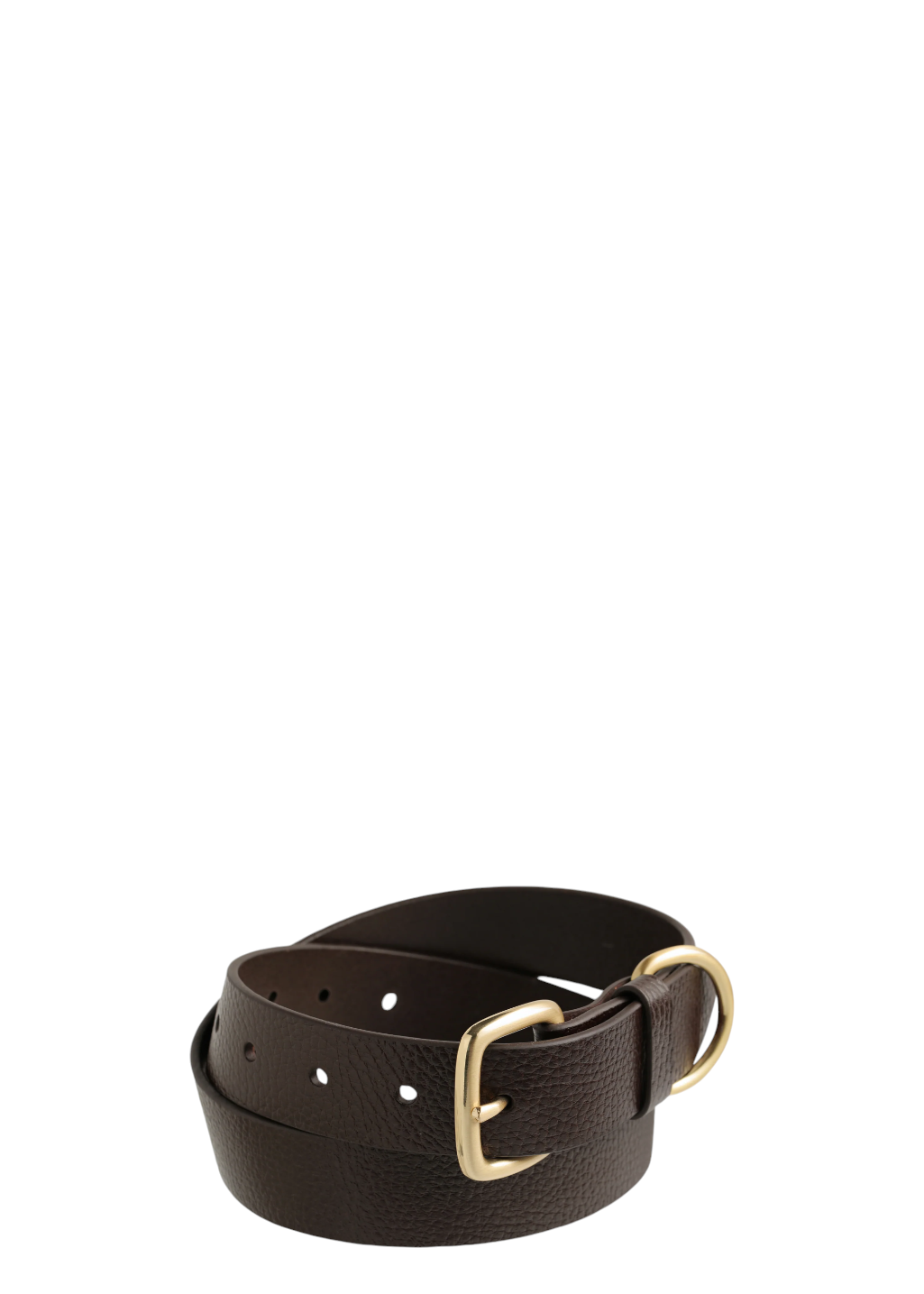 Status Anxiety - Disarm Belt - Chocolate/Gold